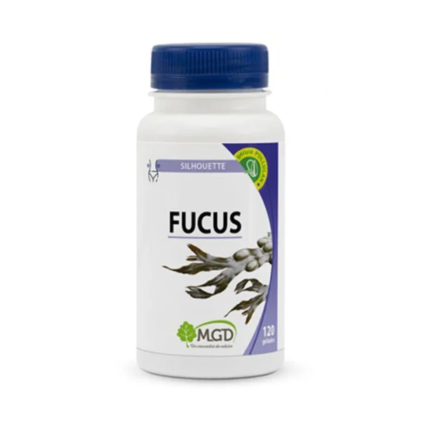 Mgd Nature Nopal 120 Gélules
