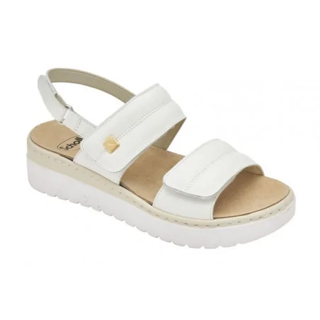 Scholl Sandales Camaiore – S30533